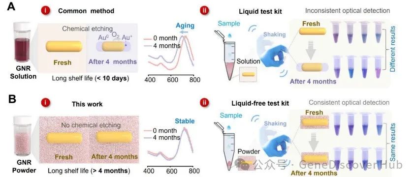 高度单分散性的稳定的金纳米棒用于光学传感器