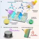 北科大张达威、马菱薇教授团队 AFM：兼具损伤预警功能和增强耐老化耐蚀性能的防腐涂层构筑新策略及实时老化失效监测技术