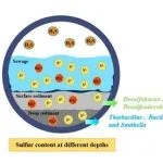 南京工业大学刘翠云团队Environ. Pollut.：不同水力停留时间下污水管道沉积物-水系统中硫的转化