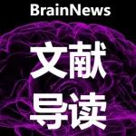 Adv Sci：高艳琴/许智祥团队揭示脑外伤后长期轴突修复新机制