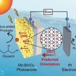 北京大学齐利民课题组AFM:BiVO4光阳极的取向工程实现高效甘油氧化