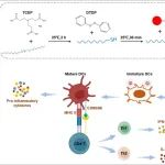 J Nanobiotechnol | 陆军军医大学李晋涛团队制备的新型自组装泛表位肽纳米疫苗增强对黄病毒的免疫应答