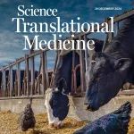 止咳药可减少小鼠肺纤维化中的胶原蛋白沉积｜Science Translational Medicine