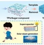 福建理工大学《ACS APM》：可压缩/导电p-TPU@碳纳米管海绵海绵，用于压阻传感和太阳能蒸汽