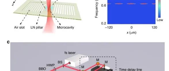 Light: Science & Applications微腔芯片中受激声子极化子介导的太赫兹波的巨型克尔非线性现象