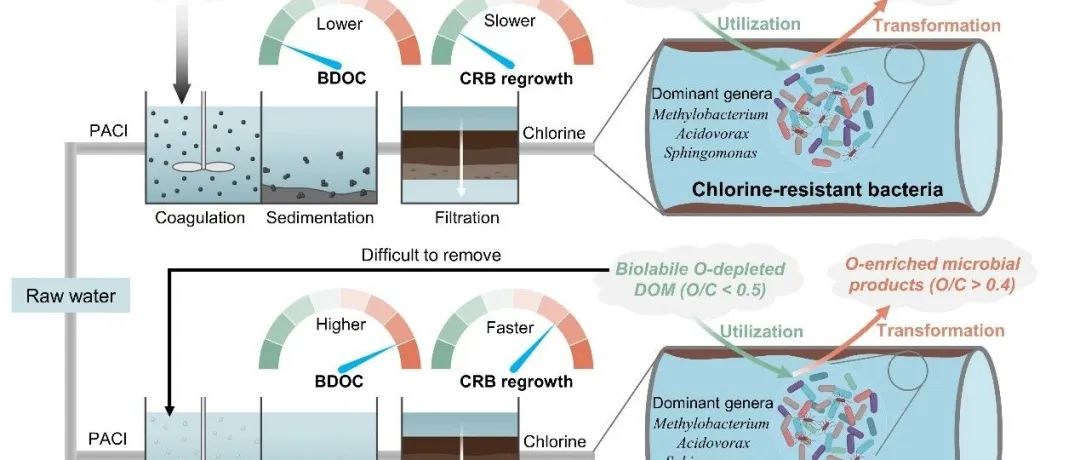【视点】中国科学院生态环境研究中心张伟军研究员课题组：强化去除低氧化度溶解性有机质以提高再生水的管网生物稳定性