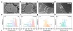 天津大学孙洁Adv. Energy Mater.: 微量多功能添加剂显著提升4.8 V富镍正极和硅氧负极电池的超高压性能