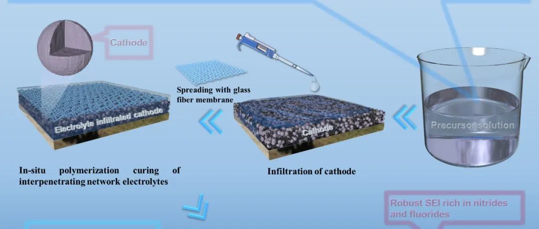 中山大学孟跃中、肖敏团队AEM：半互穿网络电解质用于高电压锂金属电池