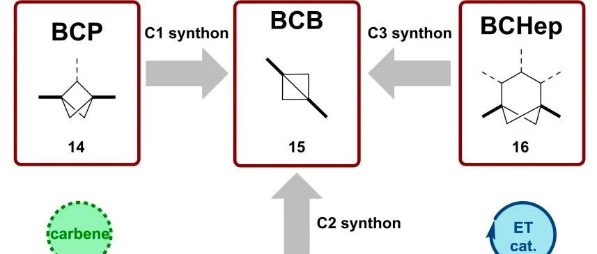 生物等排体｜亚砜胺双环[1.1.0]丁烷（BCB）合成综述