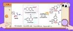 清华大学深圳国际研究生院林进顺团队合作JACS：在手性芳基生物电子等排体的合成及其在抗肿瘤药物研究方面取得进展