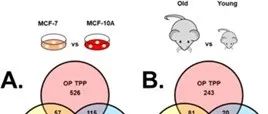 基于蛋白质折叠稳定性的生物表型表征分析方法的比较分析