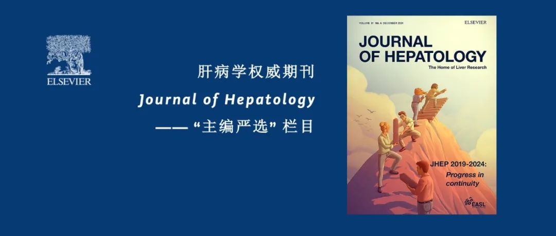 主编严选｜肝病学权威期刊Journal of Hepatology邀您了解酒精摄入量与MASLD纤维化程度相关研究