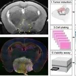 Sci Trans Med | 遗传发育所吴青峰团队破解颅咽管瘤治疗难题：从精准模型构建到创新疗法的全方位探索