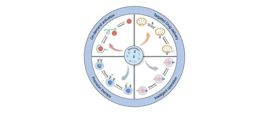 课题组发表一篇生物标志物驱动治疗的生物启发人工系统的进展综述