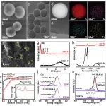 东华大学王义 ACS Nano：可调控COF衍生碳纳米酶的抗菌自凝胶粉末