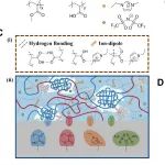港中深张祺/长春应化所段晓征 AFM：原位相分离构筑超强离子凝胶胶粘剂