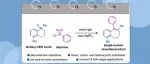 J. Am. Chem. Soc.：将单碳插入到双吖丙啶的单个 C-C 键中