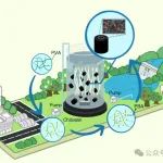 四川大学刘百仓团队Bioresource Technol.：增强型生物炭气凝胶膜系统高效去除农饮水中硫基嗅味化合物