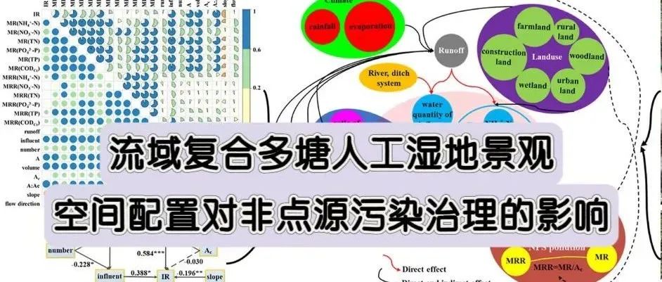 文献分享 | JCP：流域复合多塘人工湿地景观空间配置对非点源污染治理的影响