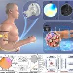 纳米能源所陈翔宇研究员团队 Sci. Adv.：基于位移电流的可穿戴式人体软组织断层成像技术