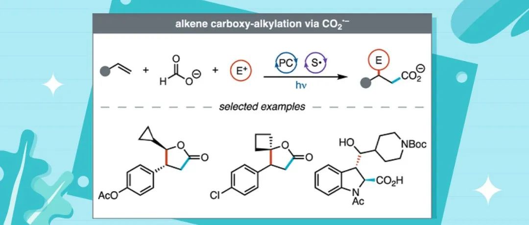 默克公司&威斯康星大学麦迪逊分校JACS: CO2&#8226;–介导的烯烃羧基-烷基化