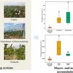 中国农大刘学军、王锴团队Environ Pollut：不同集约化农业体系下土壤中大塑料和微塑料的累积——以中国华北平原曲周县为例