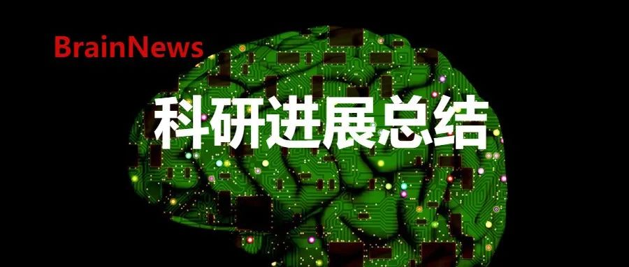 2024复旦大学脑科学研究院重要成果汇编