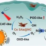 JACS：通过原子化铈提高类酶活性以实现响应肿瘤微环境的级联治疗