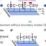 研究进展：拓扑声子-超分子晶格 | Nature Communications