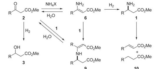 Practical Synthesis of N-Unprotected β-Amino Esters