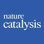 华工赵伯特，最新Nature Catalysis！