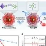 ACS Nano丨哈尔滨医科大学徐万海等团队合作制备可级联激活的纳米药物系统增强膀胱癌的超声化疗效果