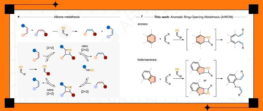 Sparr组Nature：ArROM反应--钼卡宾也能催化芳香烃发生开环复分解