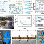 东南大学张久洋教授课题组 Matter：在金属高分子柔性电子材料领域取得重要进展