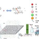 佐治亚理工学院的陈勇生、谢兴团队FESE：利用Cyanex 272吸附膜从锂离子电池中选择性分离和回收Co和Ni