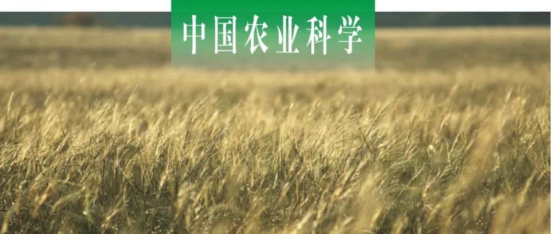 中国农业科学｜山西农业大学赵晋锋课题组克隆谷子SiCIPK21并研究其抗逆功能