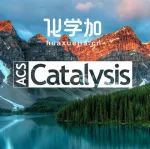 华东理工大学郑军教授ACS Catalysis：苯环生物电子等排体创制研究新进展