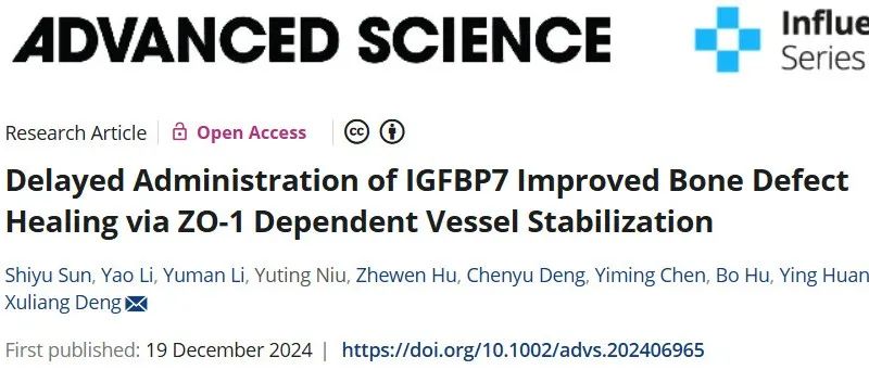 Adv Sci丨北京大学邓旭亮/黄颖团队研究表明延迟给药IGFBP7通过ZO-1依赖性血管稳定改善骨缺损愈合