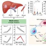 Hepatology丨樊嘉/杨欣荣团队解析肝癌合并PVTT病人的系统及局部肿瘤微环境