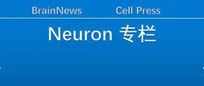 Neuron：颠覆传统认知——薛天、谌小维等团队发现第三类感光细胞增强视觉图像的加工整合