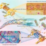 Biomaterials丨南方医科大学鲁尧等团队制备炎症刺激响应性水凝胶促进严重脊髓损伤的结构和功能恢复