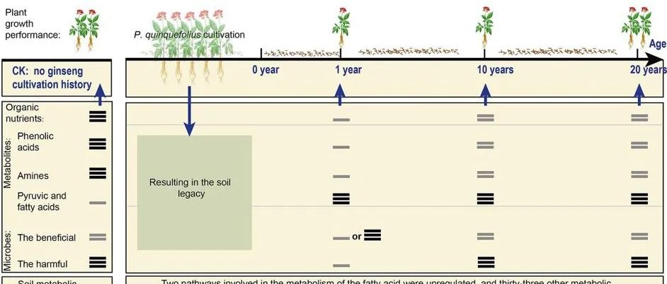 鲁东大学硕士生以共同一作在土壤学1区top期刊发表最新成果！揭示多年生作物再植疾病(种内负植物&#8722;土壤反馈)的土壤多组学机制