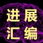 复旦大学高艳琴教授团队聚焦脑损伤和脑卒中后神经修复的系列进展