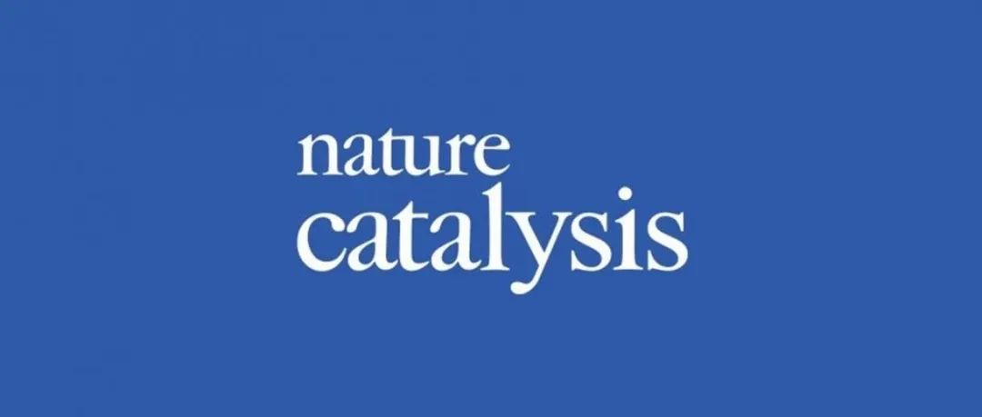 厦门大学, Nature Catalysis评论文章！