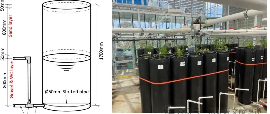 文献速递|澳大利亚新南威尔士大学WR:废水中痕量有机化学物质在植被生物过滤系统中的去向