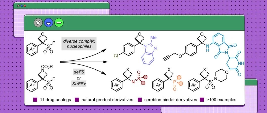 JACS：如何在药物设计中模块化引入氧杂环丁烷和氮杂环丁烷？应用OSFs和ASFs试剂