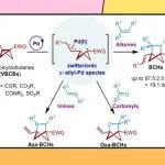 华东理工大学郑军教授团队ACS Catalysis：两性离子π-烯丙基-Pd物种驱动的烯基双环[1.1.0]丁烷的环加成反应