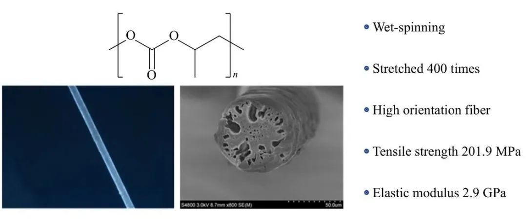 浙江大学张兴宏教授团队研究论文：聚碳酸亚丙酯纤维的制备及其力学性能