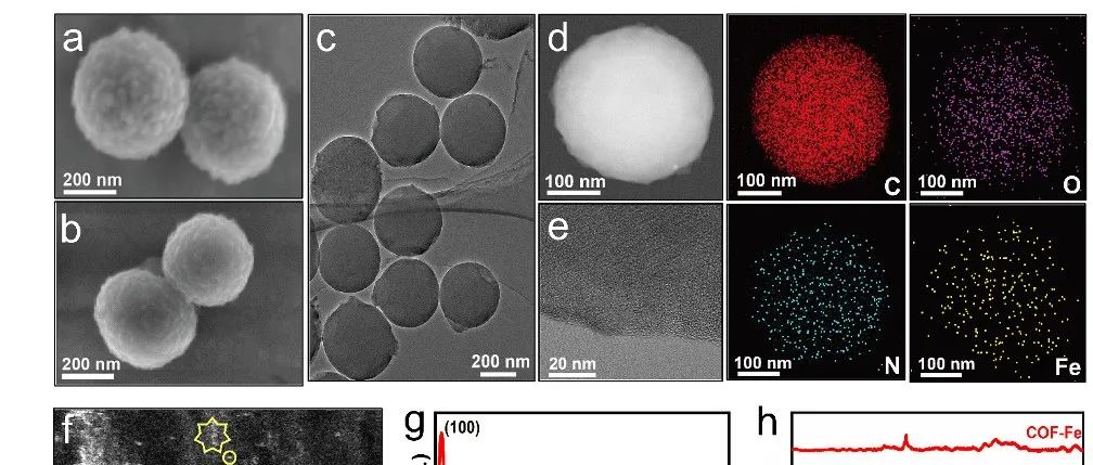 ACS Nano | 可调控COF衍生碳纳米酶的抗菌自凝胶粉末