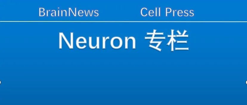 Neuron：邓娟/王英伟团队合作解析神经病理性疼痛的偏侧化调控机制